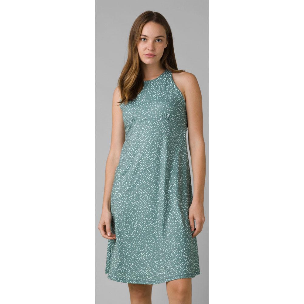 prAna Jewel Lake Dress - Women's - Clothing