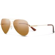 GOLD/POLARIZED BROWN