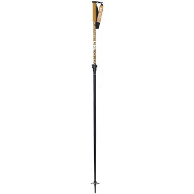 Line Paintbrush Ski Poles 2025