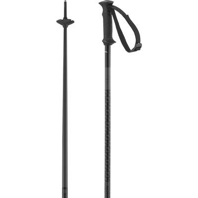 Salomon Polar Access Ski Poles