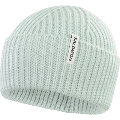 Salomon Snowbird Beanie