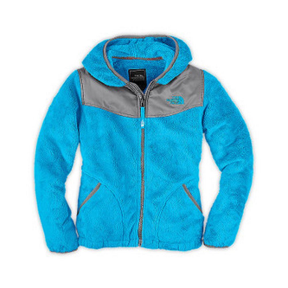 north face bearscape hoodie women's