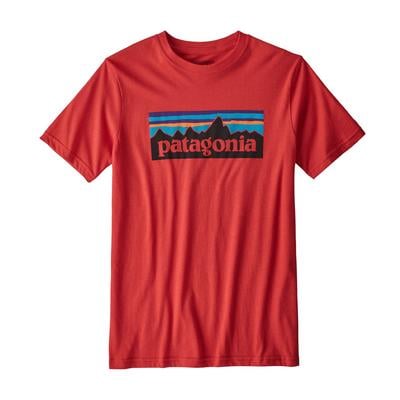 Patagonia P-6 Logo Organic T-Shirt Boys' (Past Season)