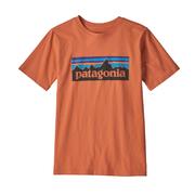 Patagonia P-6 Logo Organic T-Shirt Boys'